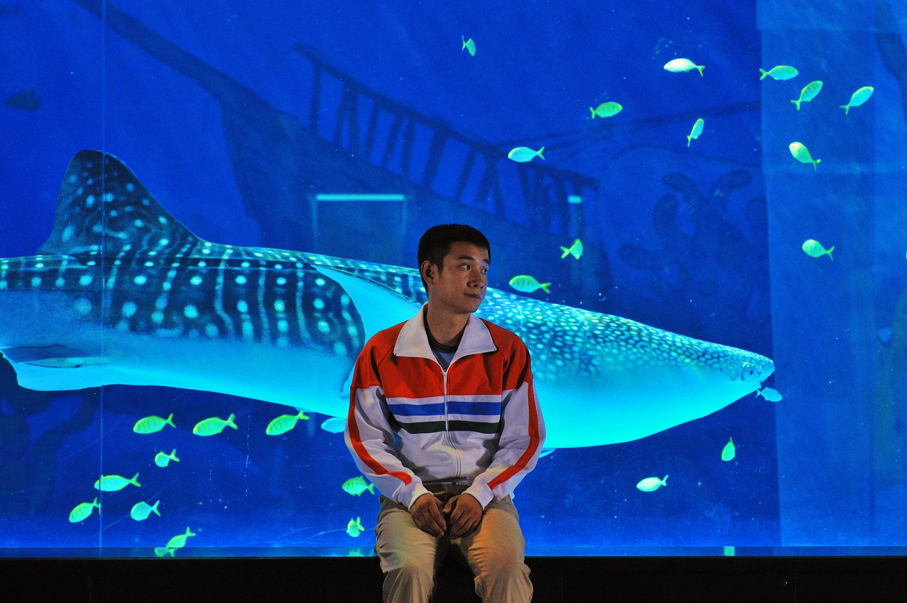 海洋天堂 精彩圖冊2(3)