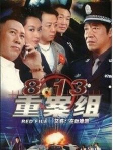 8.13重案組