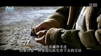 電影《可可西里》：震撼人心的鏡頭，看哭了多少觀眾