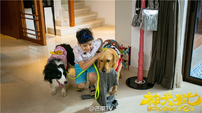 神犬小七第二季  劇照（二）