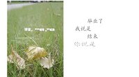 那年夏天，寫在畢業前—貍窩照片制作視頻軟件
