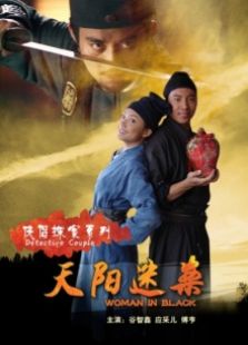 俠侶探案系列天陽迷案