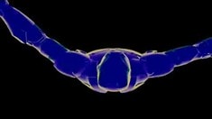 制作特輯之Visual Effects Compilation