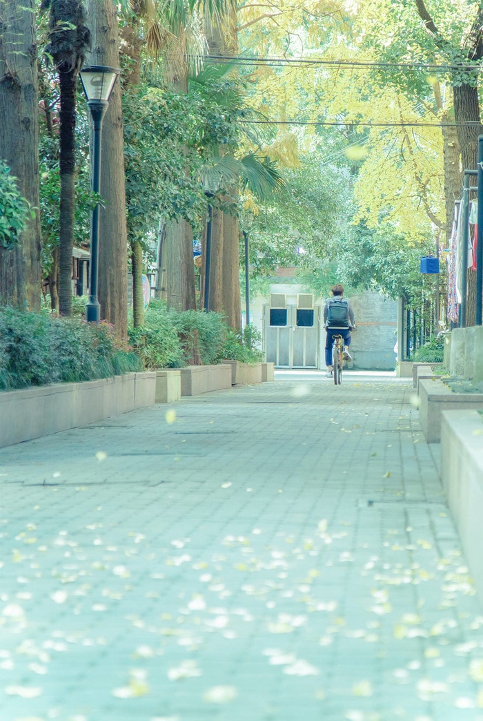 十五年等待候鳥  劇照（3）