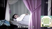 武林猛虎17集看點