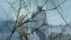 先行版預(yù)告片2