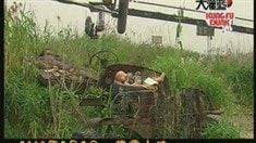 人物篇之小小周杰倫