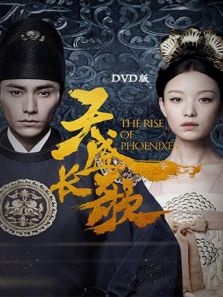 天盛長歌 DVD版