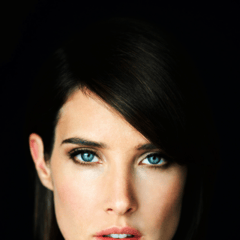 寇碧·史莫德斯/Cobie Smulders