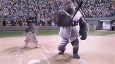 網(wǎng)絡(luò)宣傳片