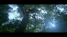 終極版預(yù)告片