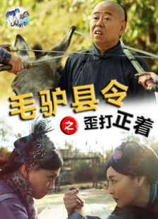 毛驢縣令之歪打正著