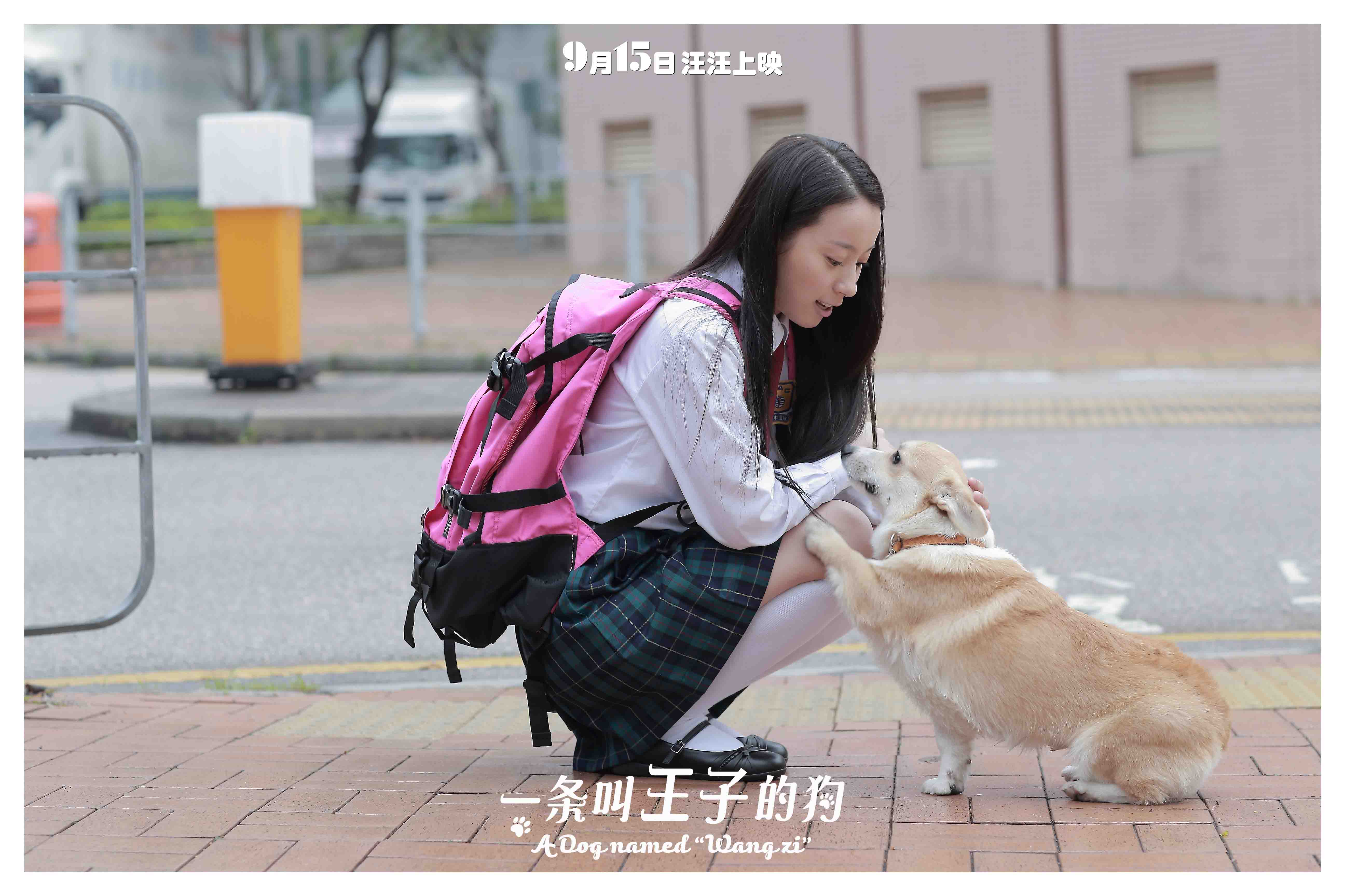 一條叫王子的狗 合并圖冊