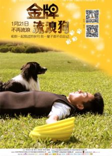金牌流浪狗