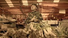 奔馳的大蔥預告片2