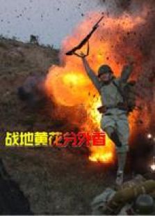 戰地黃花分外香