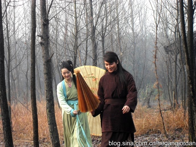 10新版流星蝴蝶劍