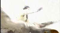 除了楊過的神雕，黃蓉的白雕也是有情有義，伴侶死后不愿茍且偷生