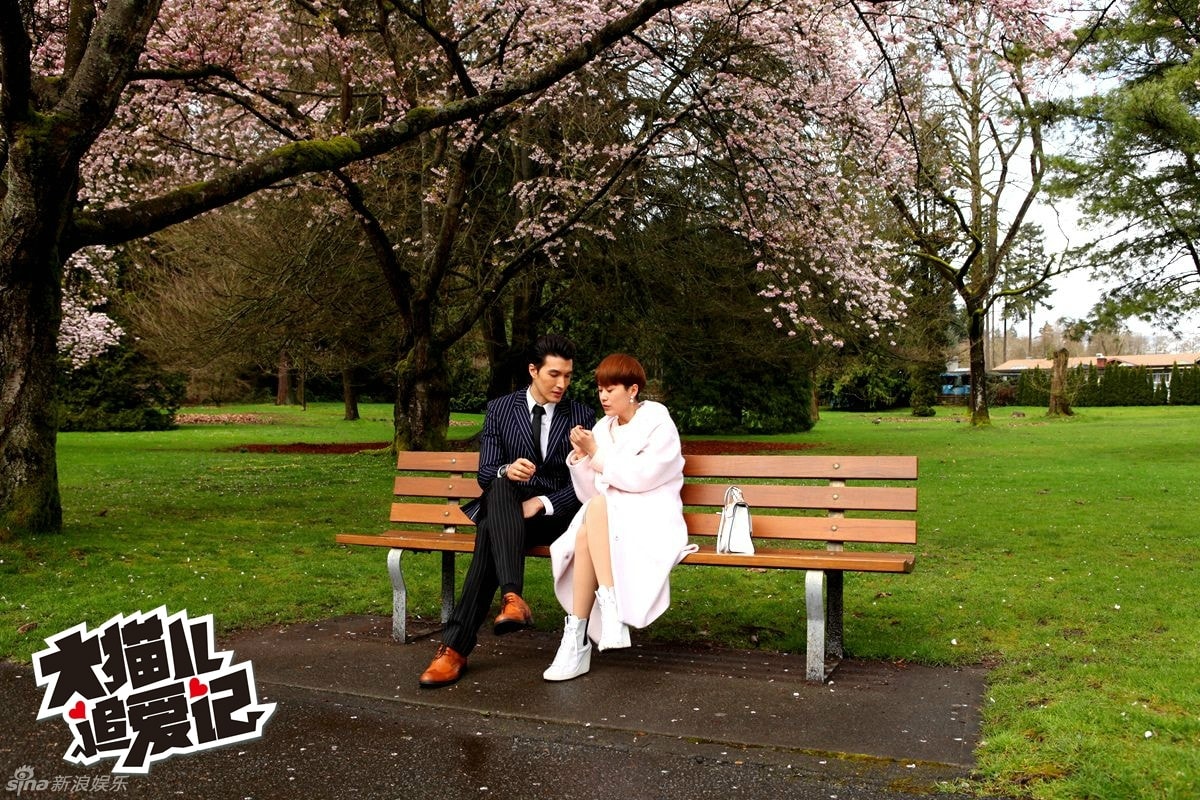 大貓兒追愛記  照片