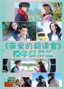 親愛(ài)的翻譯官 精華舔屏版