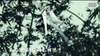 江湖-許嵩MV高清-《畫江湖之不良人》主題曲_高清