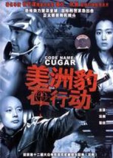 代號“美洲豹”