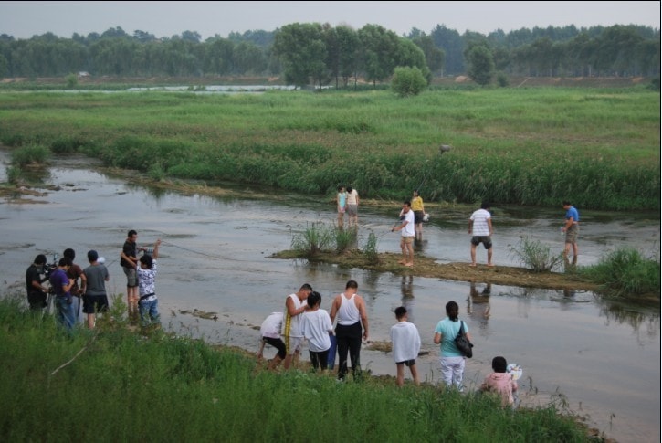 復(fù)蘇的蝴蝶拍攝現(xiàn)場(chǎng)