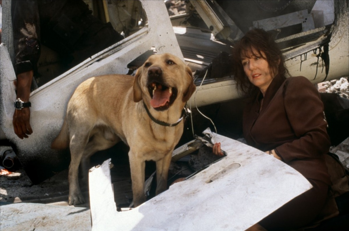 電影《獨立日》拍攝花絮