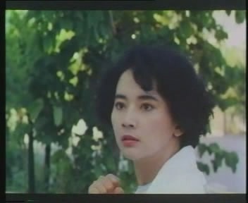 驚天龍虎豹劇照