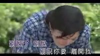 李羿慧 花開花落-木棉花的春天主題曲_標(biāo)清