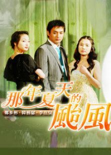 那年夏天的臺(tái)風(fēng)