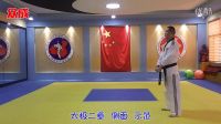 眾成跆拳道-閆成鋼 太極二章