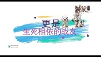 神犬奇兵7月15日起登陸山西衛視催淚來襲