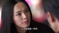 《離婚律師》女神教你520無節操示愛