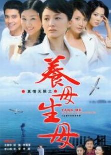 真情無限之養(yǎng)母生母