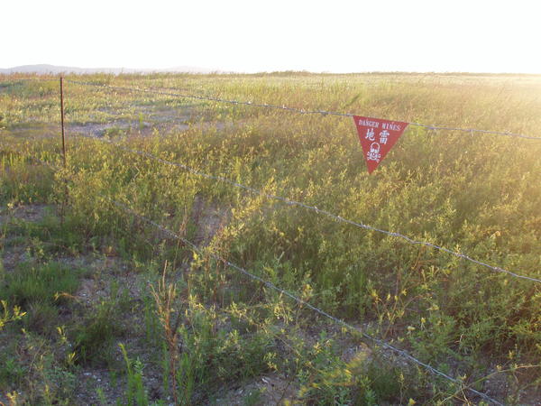 夏天協奏曲 勘景