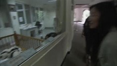 制作特輯之Animating Pandas