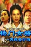 楊門女將之再戰(zhàn)金沙灘