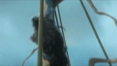 片段之Party Cruise