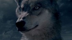 先行版預(yù)告片