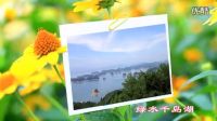 花草樹木照片電子相冊【夏天的味道】_高清
