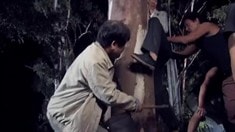 制作特輯之歡樂老戲骨