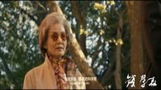 片段之愛國伉儷