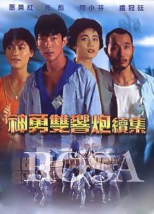 神勇雙響炮續集