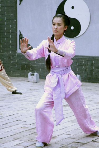 廣府太極傳奇  劇照（一）