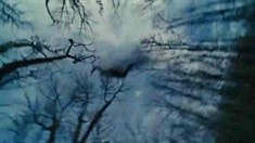 國(guó)際版預(yù)告片