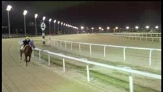 先行預(yù)告片