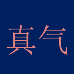 真氣?