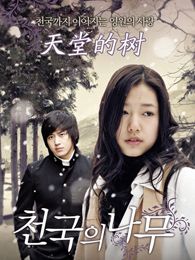 天堂的樹（韓語版）