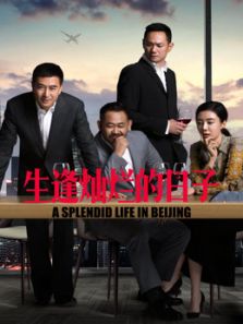 生逢燦爛的日子